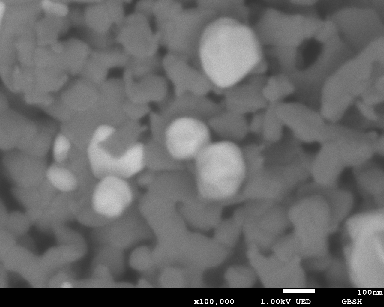 表面に白金を担持した酸化チタン焼結体の画像<br>チタンよりも原子番号の大きい白金はより明るく（白く）見えます