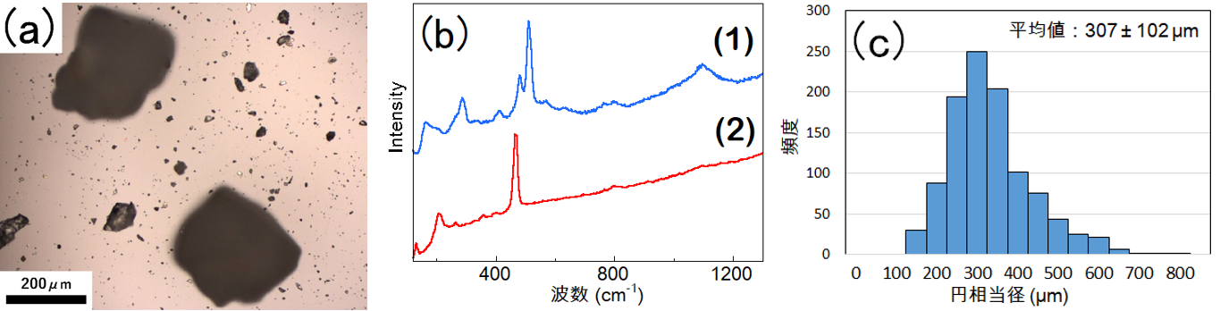 図3　(a)光学顕微鏡像　(b)ラマンスペクトル（(1)が長石、(2)が石英）　(c)長石だけの粒度分布ヒストグラム